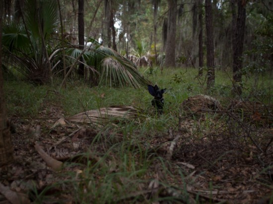 Skidaway Island State Park with Amos - 10.27.2012 - 12.00.51-2