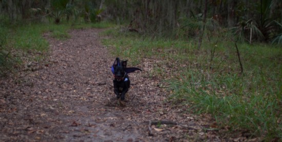 Skidaway Island State Park with Amos - 10.27.2012 - 12.02.27