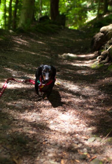 Mill Creek Park with Amos and Eva - 20120729 - 6