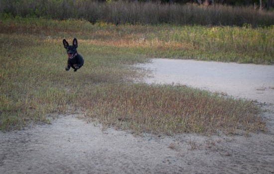 Skidaway Island State Park with Amos - 10.09.2012 - 14.48.04-4