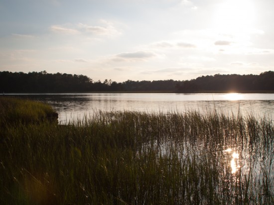 Skidaway Island State Park with Amos - 10.09.2012 - 15.02.55