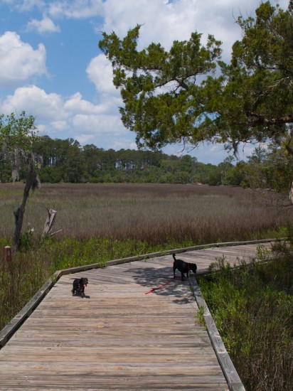 Skidaway Island State Park with Amos and Eva - 05.12.2013 - 09.48.55