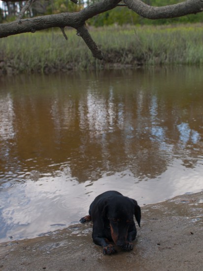 Skidaway Island State Park with Amos and Eva - 05.12.2013 - 09.59.42