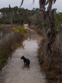 Skidaway Island with Amos - Flooded - 20121213 - 20
