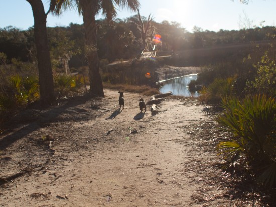 Skidaway with Amos and Eva - 20130118 - 11