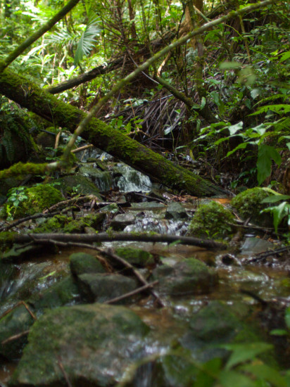 Las Alturas Streams - 20130705 - 11