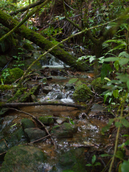Las Alturas Streams - 20130705 - 9