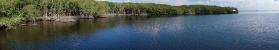 Mangrove - 07.14.2014 - 09.50.54_stitch