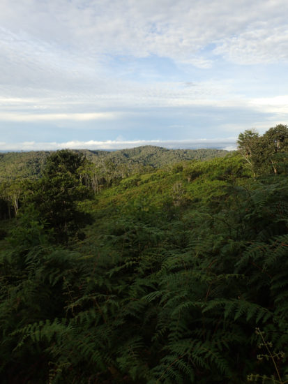 Pasture at Las Alturas - 07.03.2016 - 06.19.26