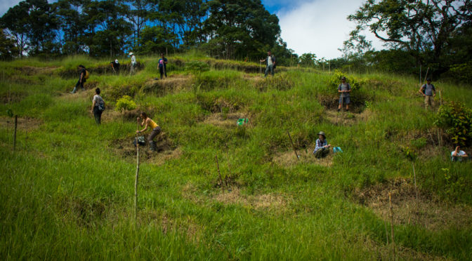 Reforestation at Finca Cantaros